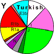 TurkishY_DNA.gif