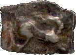 Arachosia